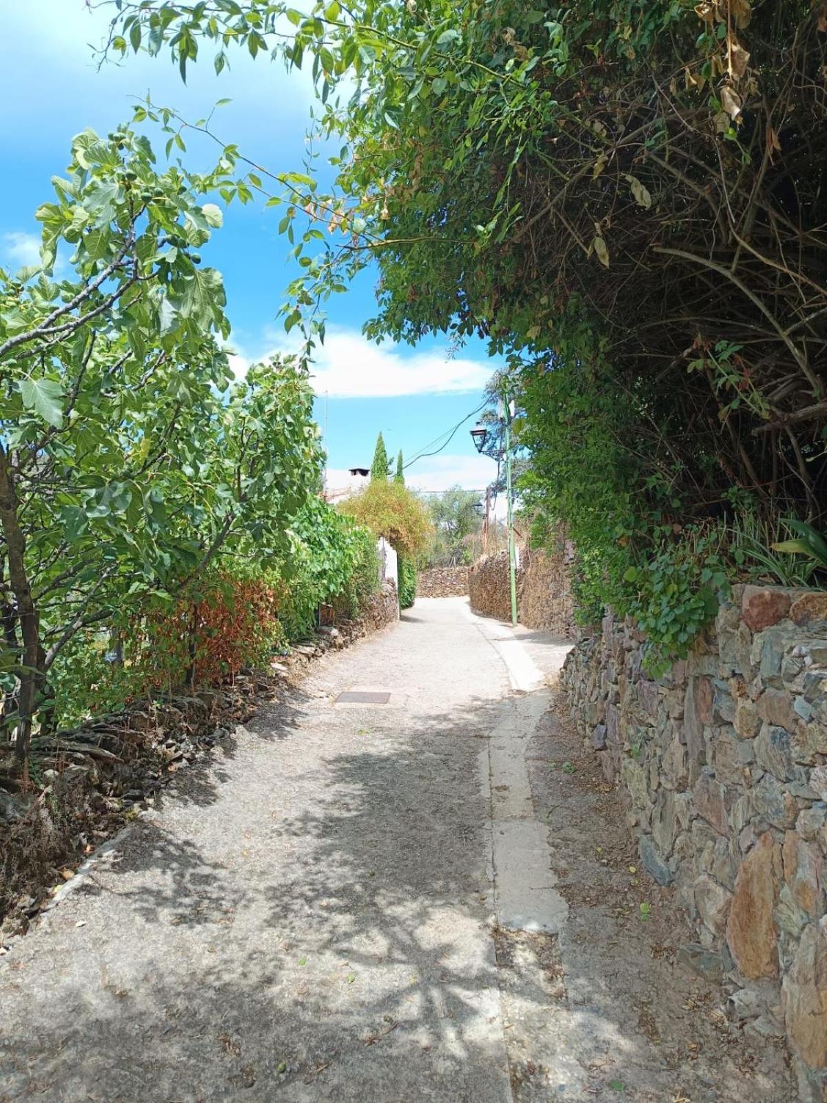 Casa Rural El Olivo Aracena Exteriör bild