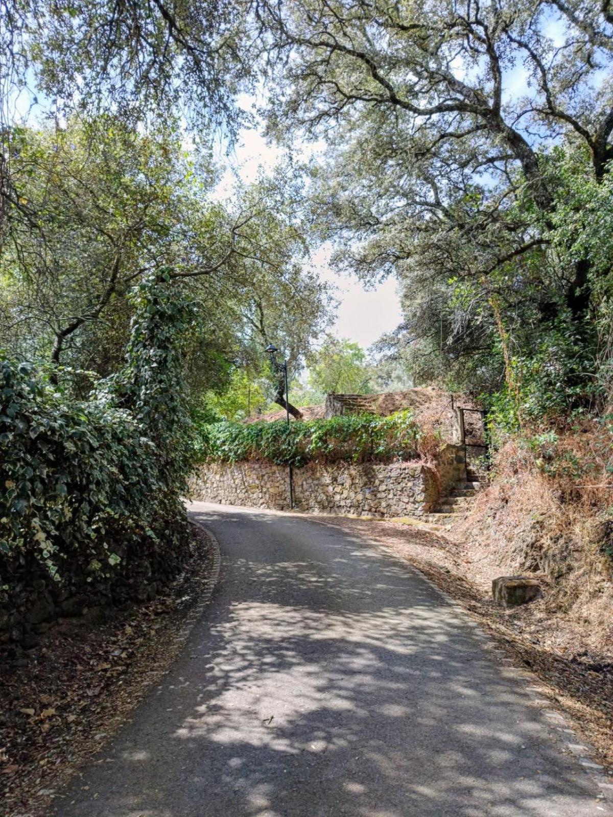 Casa Rural El Olivo Aracena Exteriör bild