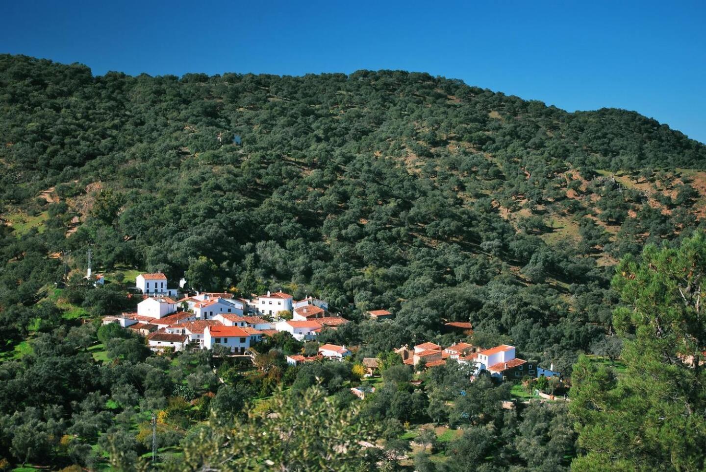 Casa Rural El Olivo Aracena Exteriör bild